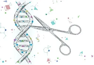 cartoon depiction of a pair of scissors about to cut a DNA double helix